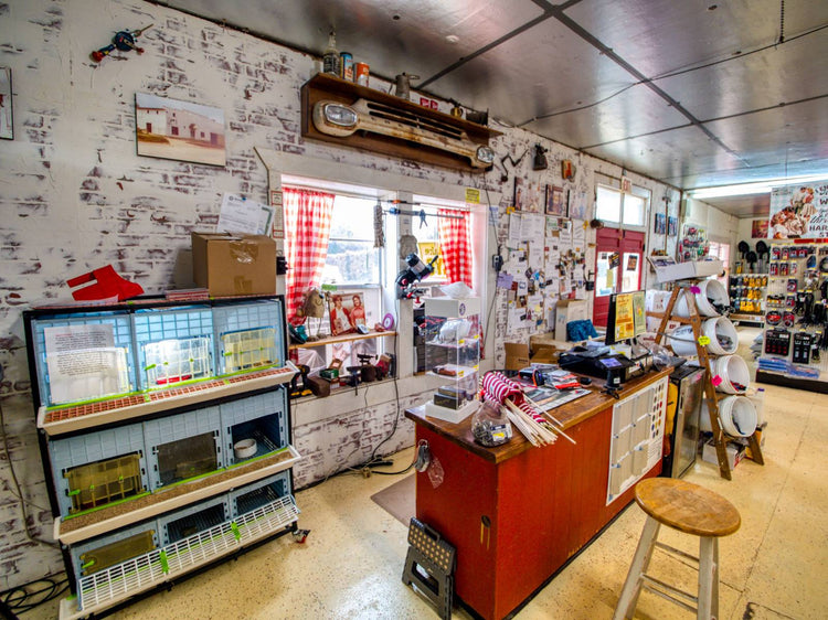 Tools and supplies on display inside of Luther Hardware & Lumber.